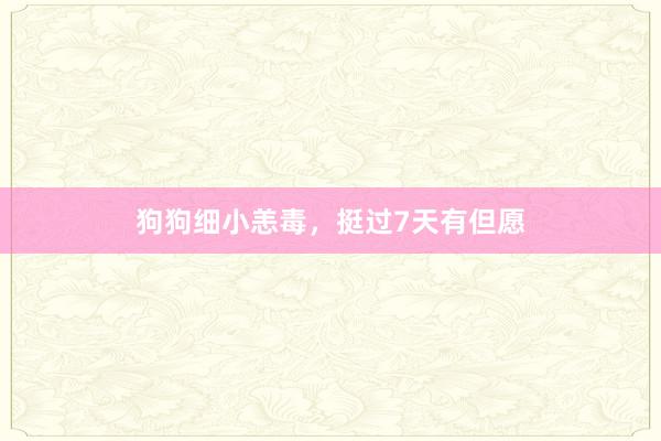 狗狗细小恙毒，挺过7天有但愿