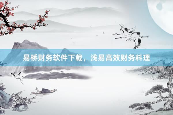 易桥财务软件下载，浅易高效财务料理