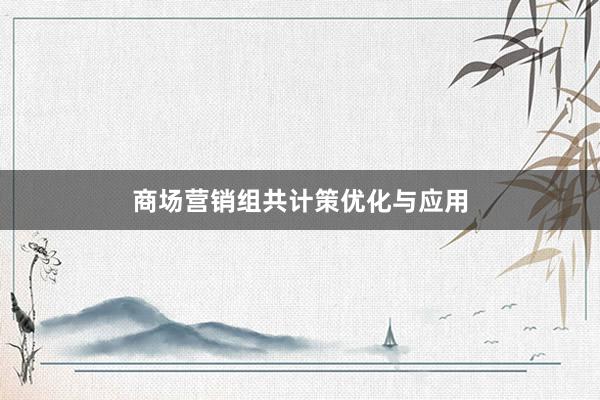 商场营销组共计策优化与应用